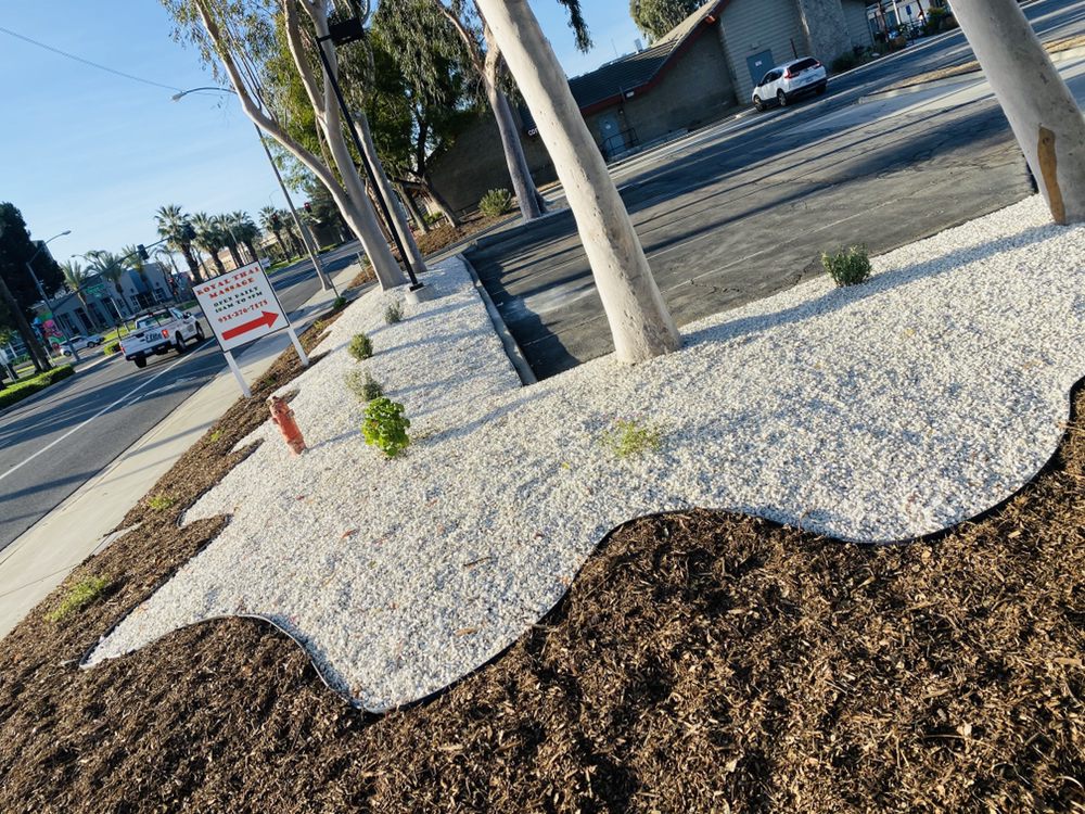 Tree trimming project by Juan's Gardening Service